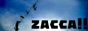 zacca！！